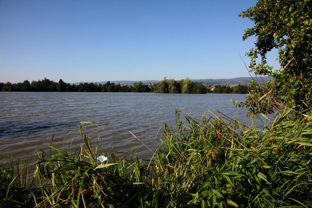 Les Etoiles Du Forez Savigneux (Loire) Exterior foto