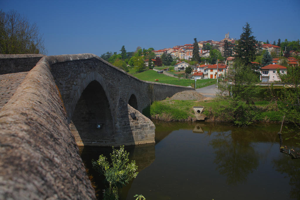Les Etoiles Du Forez Savigneux (Loire) Exterior foto